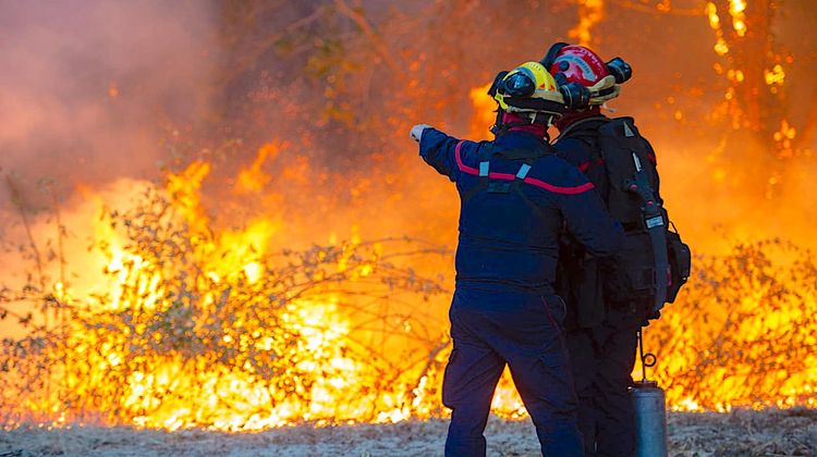 ALERTE FUMÉES – Les Landes et la Gironde face aux gigantesques incendies